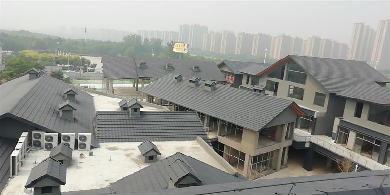 山东省菏泽郓城县宋河金街 平板瓦